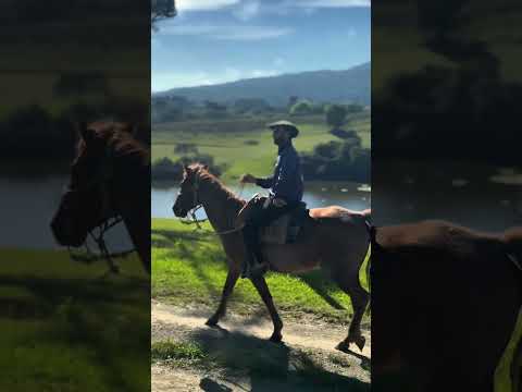 A onde andar a cavalo em Urubici Santa Catarina ou Bom Retiro