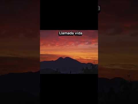 Los amigos ángeles clandestinos. Santa Maria Región Valparaíso Chile 2025