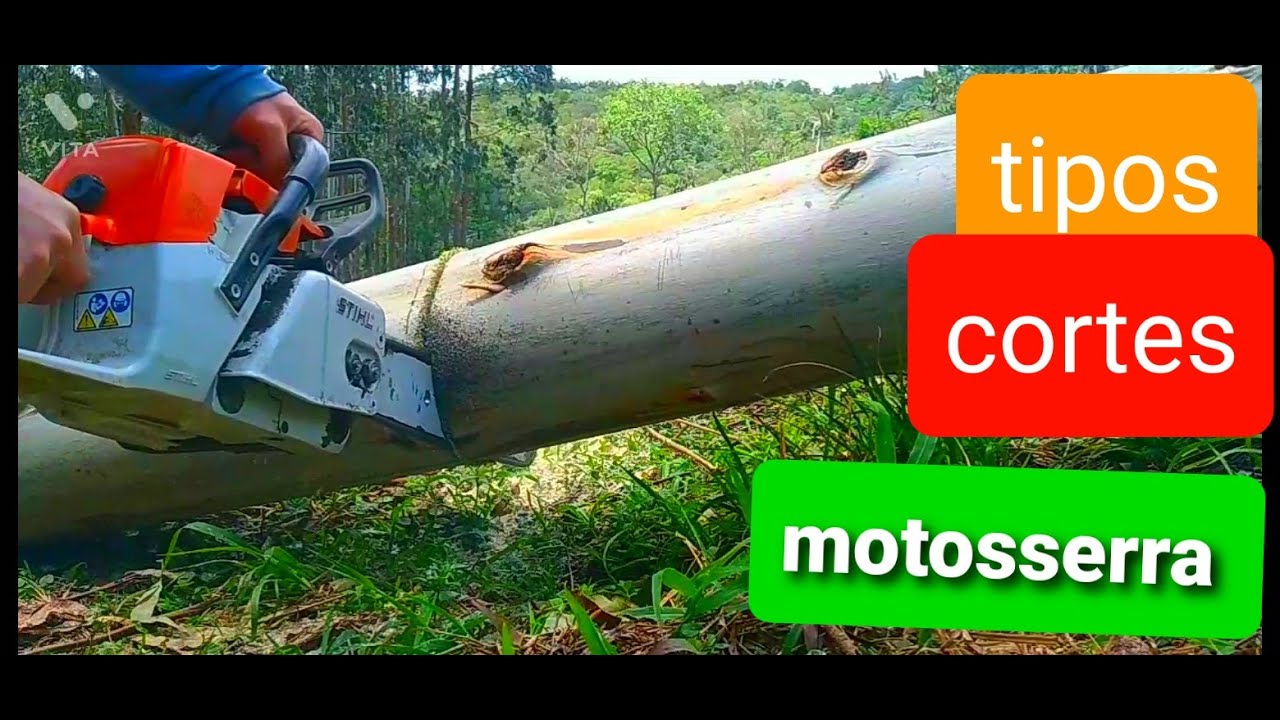 tipos de corte com motosserra