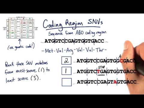 Coding SNVs - Tales from the Genome