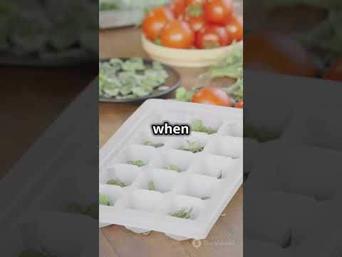 🌿 Keep Your Herbs Fresh with This Simple Hack! 🌿 #shorts