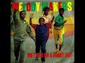 ZIGGY MARLEY  /  MET HER ON A RAINY DAY
