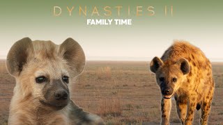 האם טעינו לגבי הצבועות? | שושלות II | BBC Earth