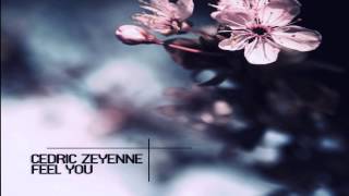 Cedric Zeyenne - Feel You (Original Mix)