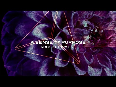 A Sense of Purpose - MOONFLOWER (Official Stream Video)