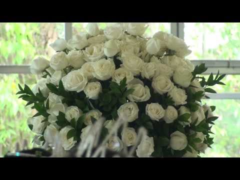 A TERRA AONDE ESTOU - FLOR DE JAGUBE - 20 ANOS