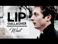 Lip Gallagher | Wait