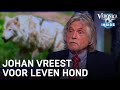 Johan vreest voor leven Labradoodle: 'Er zijn wolven gesignaleerd in Grolloo' | VERONICA INSIDE
