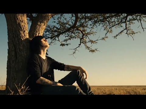 Last Ashes - Life's Not Always Beautiful (Official Music Video)