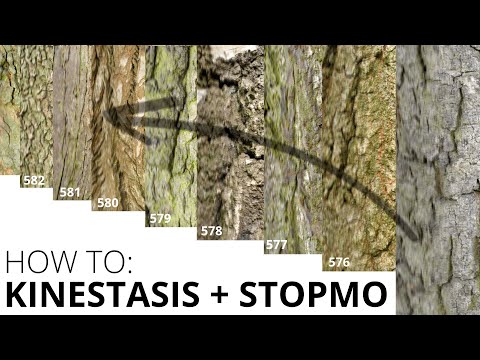 HOW TO: Kinestasis stopmotion (like Kevin & Paraic McGloughlin)