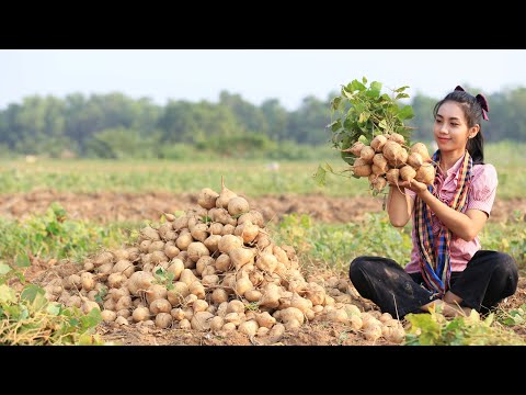 Have you ever seen this fruit in your homeland my country it call Pek Kouk