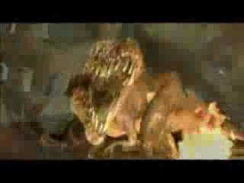 Mic Warriors Brennende Zeilen