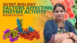 Factors affecting enzyme activity | Biomolecules | Class 11 | NEET