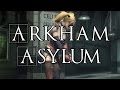 PC Injustice Gods Among Us ARKHAM ASYLUM Mod Harley Quinn Custom DLC Skin