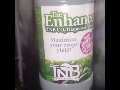 UK GROWMASTER THC on Instagram “🇬🇧MORNING GUYS N GALS IT'S SATARDAY👍😎😎😎😎😎👍💚 #tnbco2