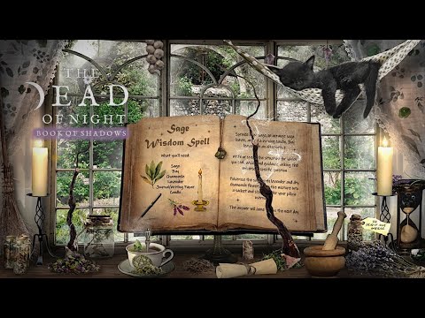 Herbal Magic Ambience 🧹🌿🌻✨ | A Day of Herbal Spells & Rituals | The Dead of Night Book of Shadows