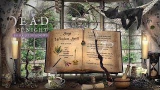 Herbal Magic Ambience 🧹🌿🌻✨ | A Day of Herbal Spells &amp; Rituals | The Dead of Night Book of Shadows