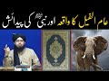 Aam Ul Feel Hathiyon Wale Saal Ka Waqia Aur Nabi ﷺ Ki Paidaish By Engineer Muhammad Ali Mirza
