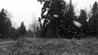 cold snow gif