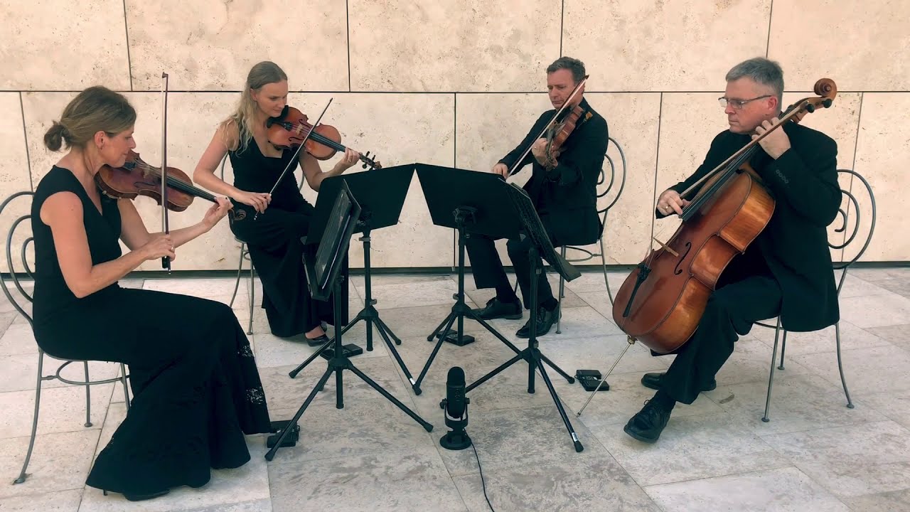 Promotional video thumbnail 4 for The Vanderbilt Strings
