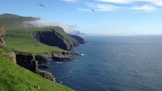 preview picture of video 'Thousands of Puffins and Birds on The Mykines, The Faroe Islands'