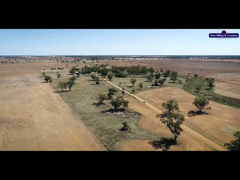 Meryon Aggregation - Warren NSW