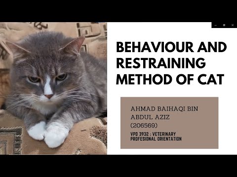 VPD 3932 : The Behaviour & Restraining Method of Cat