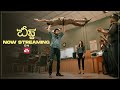 Try To Not To Mess With Veera Beast Telugu Streaming On SUN NXT Thalapathy Vijay Pooja Hegde