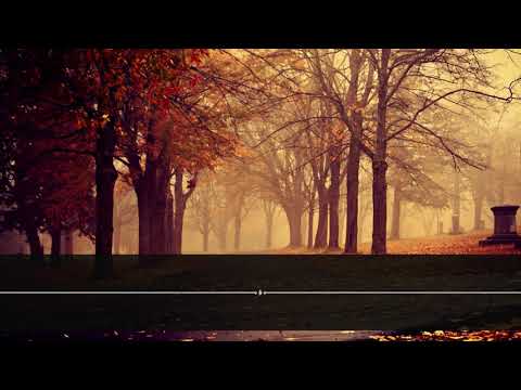 Salah Musali - Surja Muzemil | Surah Al-Muzzammil (The Enshrouded one)