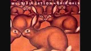 Eric Gale - Morning Glory