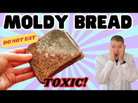 Moldy Bread Is NOT Safe To Eat - Here's Why!