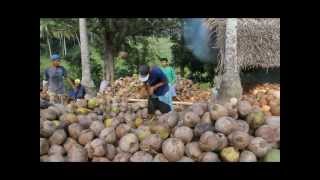 preview picture of video '2013 02 Copra produksjon, Payanas'