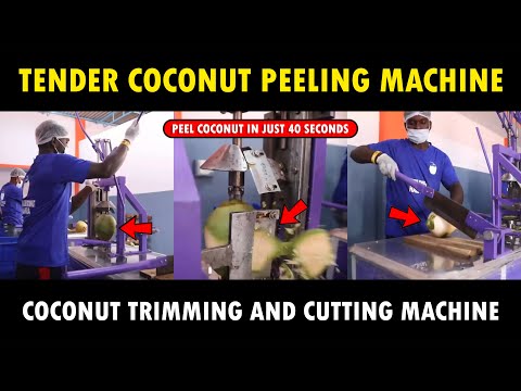 Tender Coconut Trimming Machine  Coimbatore