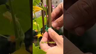 Záhradné flexibilné úchyty v tvare 8 - sada 100 ks