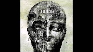 Numb - 己 onore