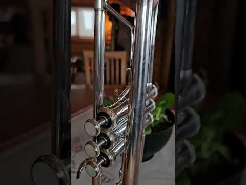 BACH TR501 Silver image 21