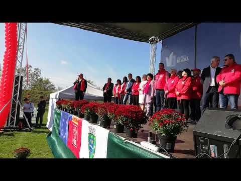 Felix Stroe, întrunire PSD Murfatlar