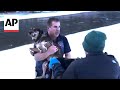 Vermont Man Rescues A Dog From A Freezing River