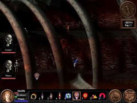 Quest for Glory 5:  The Rite of Courage