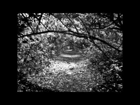 Philip Glass - Prophecies (FJ Vargas Remix)