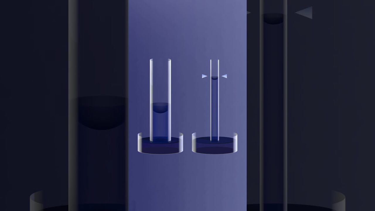 Capillary Rise (Explained)