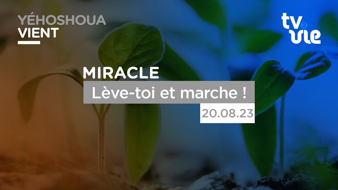 Thumbnail of video: Lève-toi et marche ! 🔥🔥