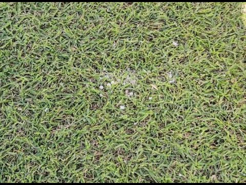 Sale sul prato dell'Arechi, arrivano forze dell'ordine