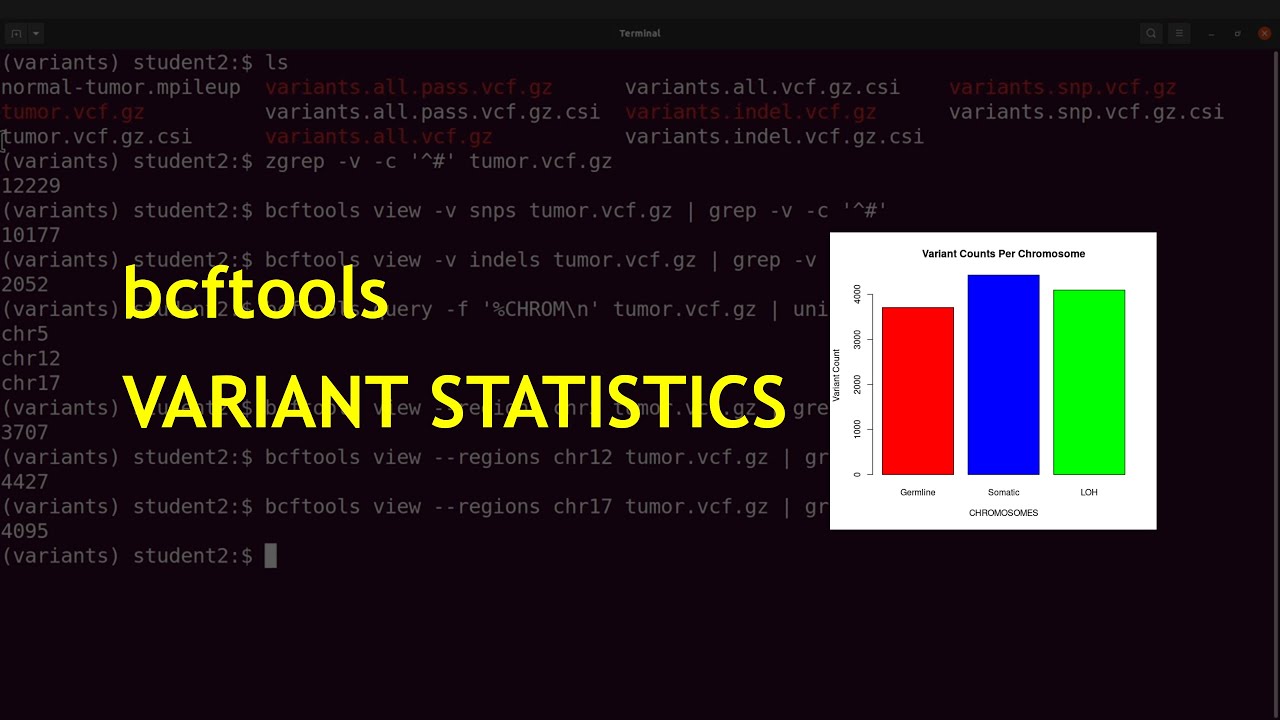 bcftools variant statistics