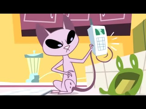 In Dog We Trust + Catch My Drift 🐈 Kid Vs. Kat - Wildbrain