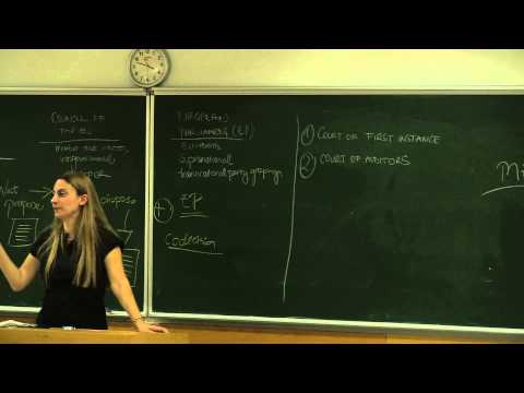 IR477 - Law and Institutions of the European Union - Lecture 4.2