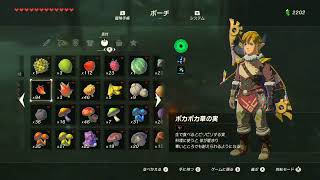【実況】愛に生きるゼルダの伝説ブレスオブザワイルド part78【ミノル】