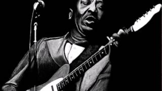 Muddy Waters - You Can&#39;t Lose What You Ain&#39;t Never Had