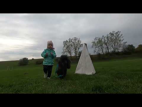 Kratosz Kutyaiskola, Johanna Lizivel