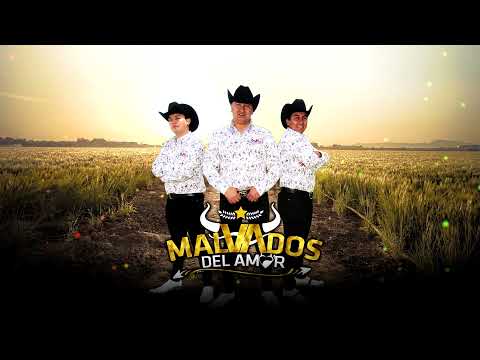 MALVADOS DEL AMOR - NO LLORES ( Promo Enero 2022 )